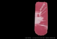 Diapositive016