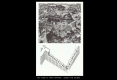 Diapositive072
