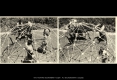 Diapositive067