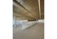 131-BEAUDOUIN-LUMEN-SACLAY