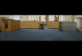 VOSMAER-VERMEER-SAENREDAM_000179