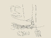 alleray-02