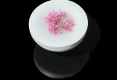 05-PORCELAINE_0000016 copie 2