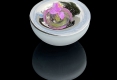 02-PORCELAINE_0000017 copie 2