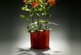 06-vase-ambre