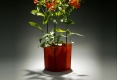 06-vase-ambre