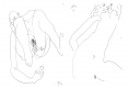 Diapositive034