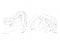 Diapositive035