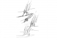 Diapositive068