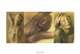diapositive091