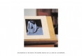 diapositive097