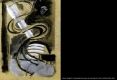 diapositive077