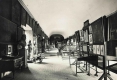 250-GALERIE DES CERFS A LA FIN DU XIX