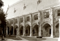 260-LE JARDIN-DU-MUSEE-LORRAIN